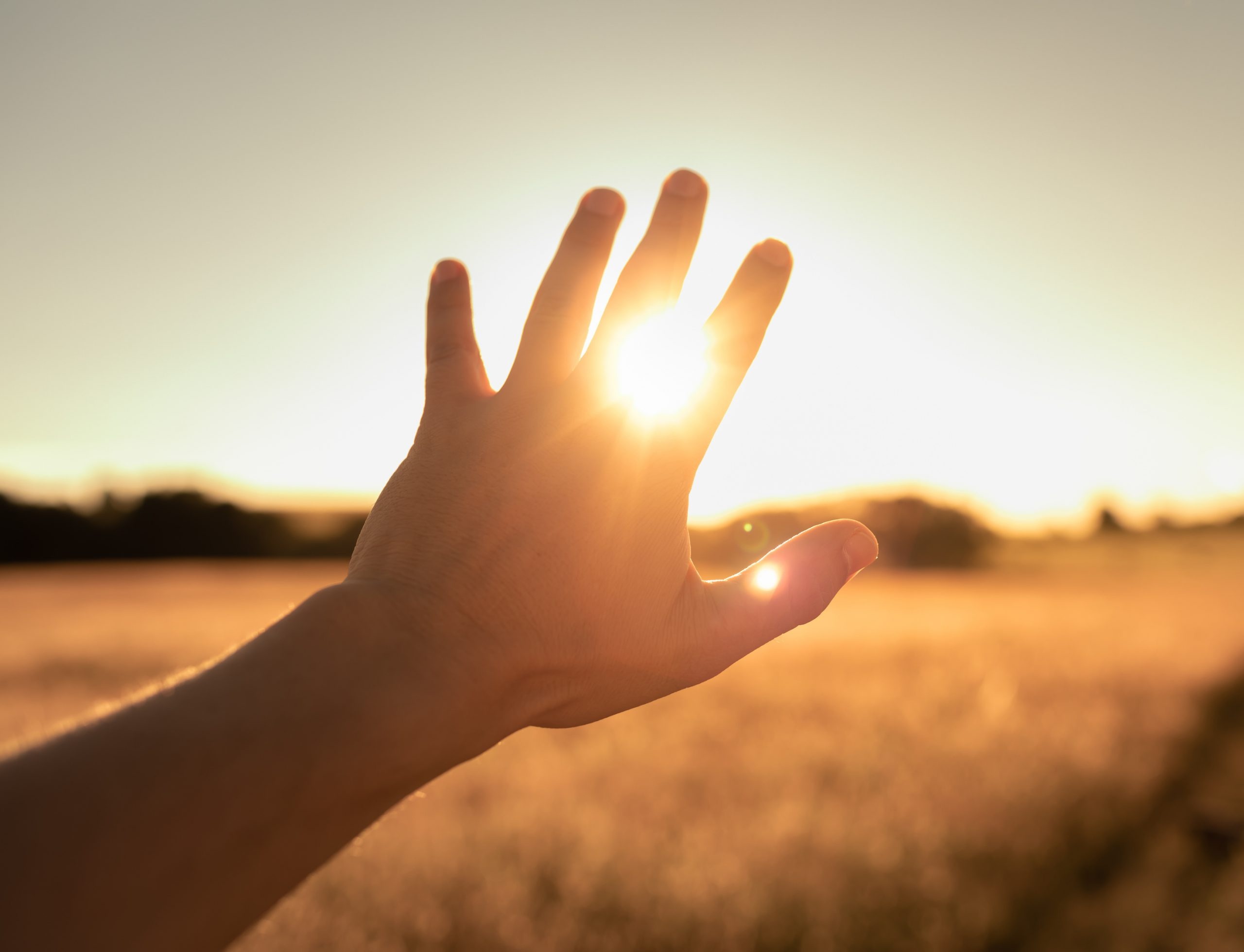 Hand reaching toward the sun, symbolizing the spiritual journey of past life regression and self-discovery.