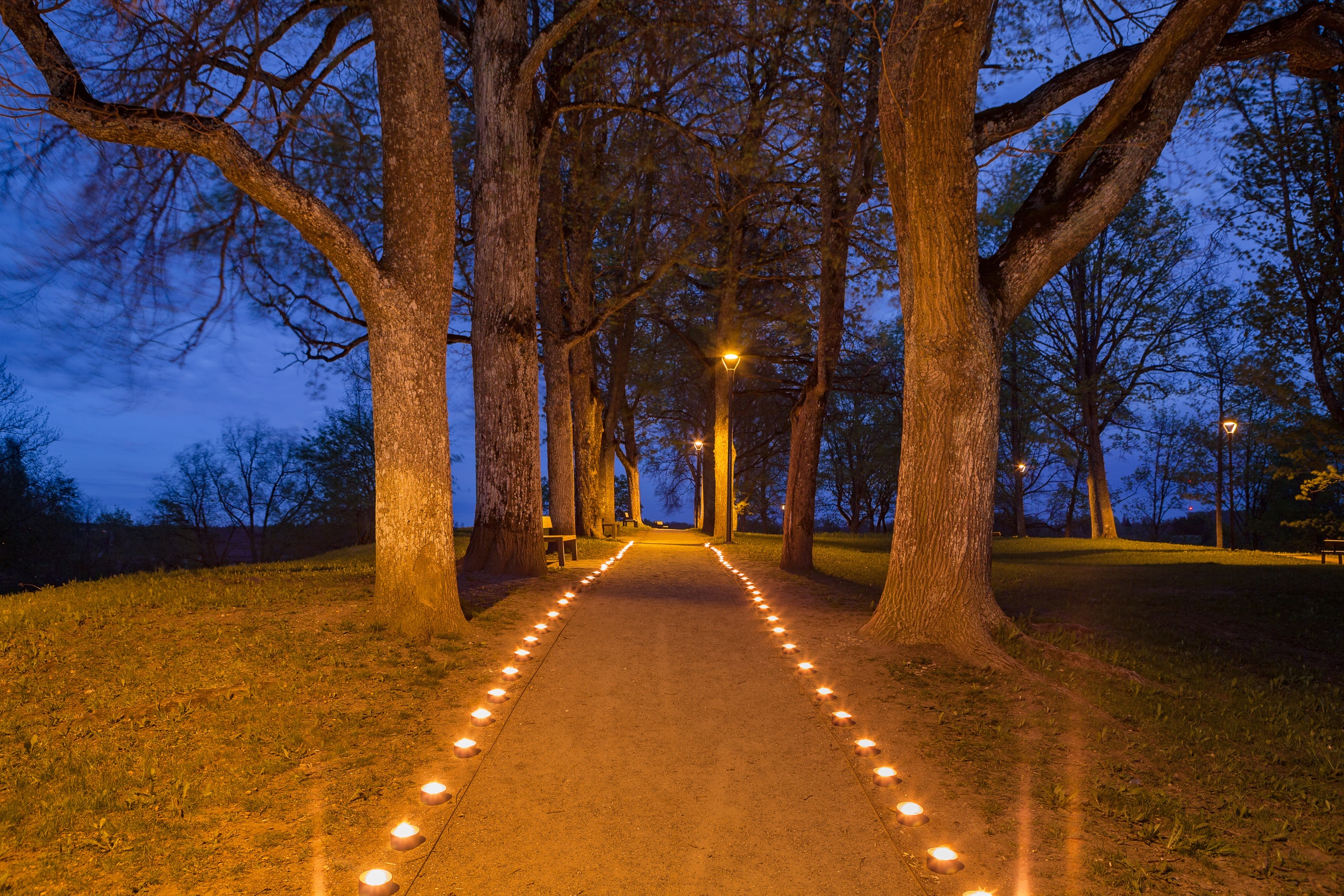 Illuminated path in the park with beautiful candles flames glow